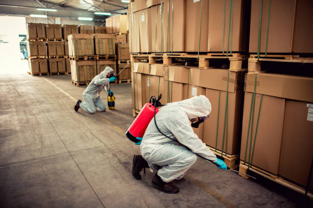 Best Pest Prevention Services  in Linden, TX