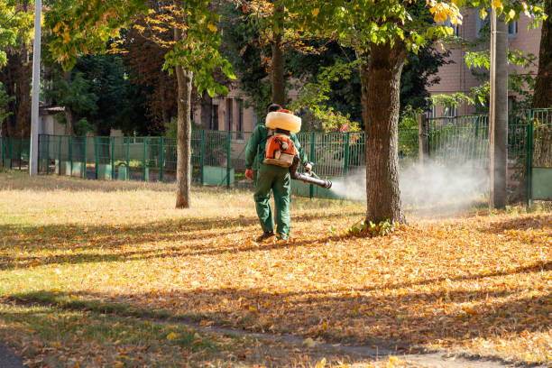 Best Rat Extermination Near Me  in Linden, TX