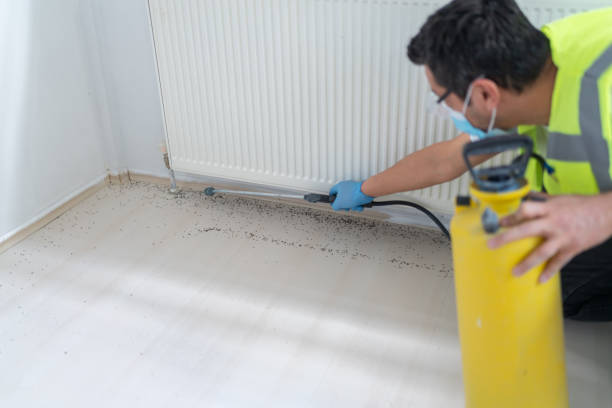 Best Pest Inspection Near Me  in Linden, TX